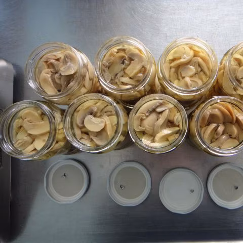 Cogumelo inteiro em fatias enlatadas de boa qualidade em alimentos enlatados da China